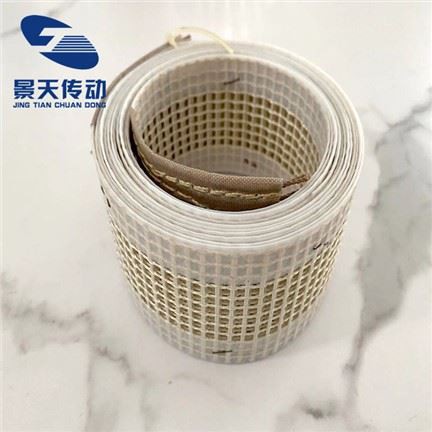 ٹیفلون میش کنویر بیلٹ