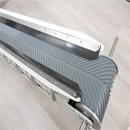 فش بون کنویر بیلٹ